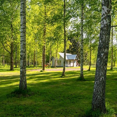 Peipsi Caravani Puhkemaja Nina Luaran gambar